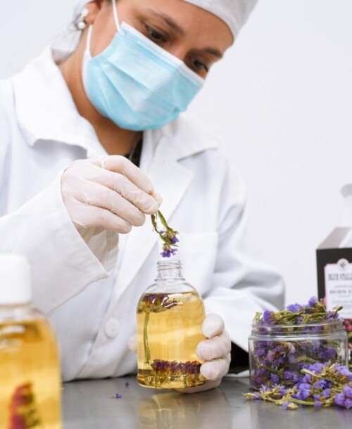 México Despunta en la Industria Cosmética Global: MEX BEAUTY FACTORY a la Vanguardia