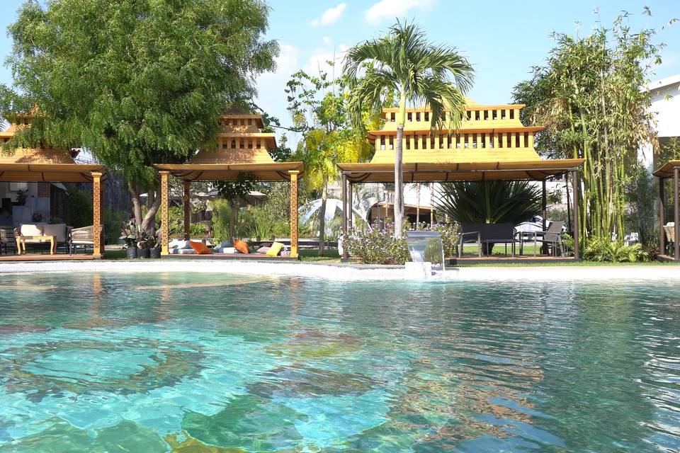 SoulSpring Sanctuary: Donde la Naturaleza y la Ciencia se Encuentran para Transformar Vidas